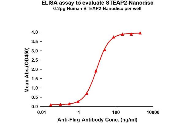 STEAP2 蛋白