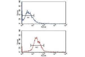 Flow cytometric analysis of MCF-7 cells using KLF4 antibody (bottom histogram) compared to a negative control (top histogram). (KLF4 抗体)