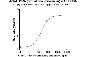 ELISA plate pre-coated by 2 μg/mL (100 μL/well) Human IL17RA, His tagged protein ABIN6961154, ABIN7042337 and ABIN7042338 can bind Anti-IL17RA Neutralizing antibody (ABIN7093057 and ABIN7272587) in a linear range of 3. (Recombinant IL17RA (Brodalumab Biosimilar) 抗体)