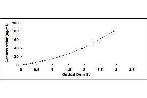 Typical standard curve (CD20 ELISA 试剂盒)