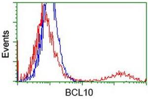 HEK293T cells transfected with either RC208752 overexpress plasmid (Red) or empty vector control plasmid (Blue) were immunostained by anti-BCL10 antibody (ABIN2454087), and then analyzed by flow cytometry. (BCL10 抗体)