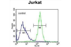 Flow Cytometry (FACS) image for anti-CWC22 Spliceosome-Associated Protein Homolog (CWC22) antibody (ABIN2995841) (CWC22 抗体)