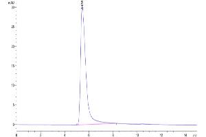 Size-exclusion chromatography-High Pressure Liquid Chromatography (SEC-HPLC) image for VLP Control protein-VLP (Biotin) (ABIN7448168)