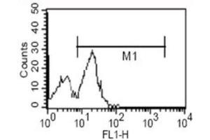 Flow Cytometry (FACS) image for anti-CD14 (CD14) antibody (ABIN1843073) (CD14 抗体)