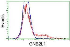 HEK293T cells transfected with either RC205092 overexpress plasmid (Red) or empty vector control plasmid (Blue) were immunostained by anti-GNB2L1 antibody (ABIN2454454), and then analyzed by flow cytometry. (GNB2L1 抗体)