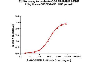 Elisa plates were pre-coated with 0. (CALCRL 蛋白)