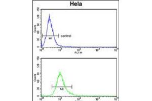 Flow cytometry analysis of Hela cells (bottom histogram) compared to a negative control cell (top histogram). (PCAT1 抗体  (C-Term))