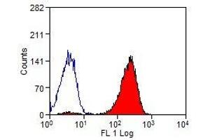 C-Type Lectin Domain Family 1, Member B (CLEC1B) 抗体 (PE)