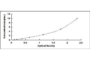 Typical standard curve (VEGFR2/CD309 ELISA 试剂盒)