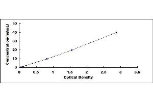 Typical standard curve (G Protein Coupled Receptor 131 ELISA 试剂盒)