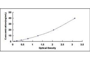 Typical standard curve (SLC25A20 ELISA 试剂盒)