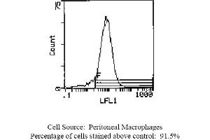 Mouse anti OX-43 Antigen OX-43 (Endothelium 抗体 (Biotin))