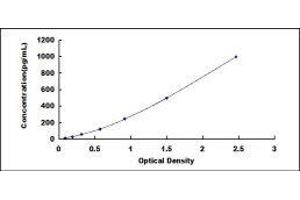 ELISA image for Urocortin (UCN) ELISA Kit (ABIN415735) (Urocortin ELISA 试剂盒)