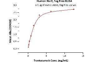 Immobilized Human Her2, Tag Free (ABIN6731310,ABIN6809903) at 1 μg/mL (100 μL/well)can bind Trastuzumab with a linear range of 0. (ErbB2/Her2 Protein (AA 23-652))