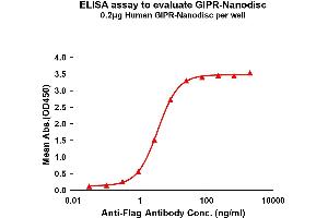 Elisa plates were pre-coated with Flag Tag GIPR-Nanodisc (0. (GIPR 蛋白)