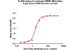 Elisa plates were pre-coated with Flag Tag -Nanodisc (0. (GRM7 蛋白)