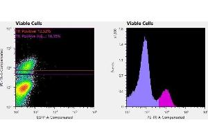 Flowcytometry of huSSECTM cell line overexpressing hFcRn-EGFP labeled with clone ADM31  primary Ab and Texas Red™ conjugated anti-mouse secondary. (FcRn 抗体)