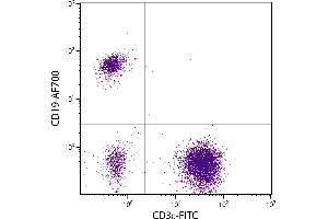 Human peripheral blood lymphocytes were stained with Mouse Anti-Human CD19-AF700. (CD19 抗体  (PE-Cy7))