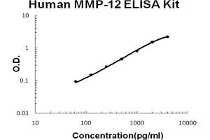 Human MMP-12 Accusignal ELISA Kit Human MMP-12 AccuSignal ELISA Kit standard curve. (MMP12 ELISA 试剂盒)