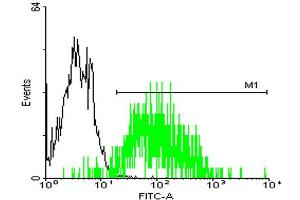 Flow Cytometry (FACS) image for anti-Stress-Induced-phosphoprotein 1 (STIP1) (AA 1-543) antibody (ABIN524365)