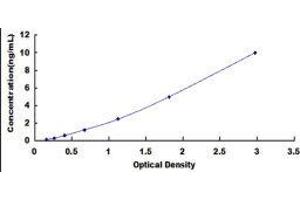 ELISA image for Phospholipase A2, Pancreas (pPLA2) ELISA Kit (ABIN572370) (pPLA2 ELISA 试剂盒)