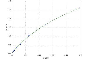 A typical standard curve (GCLM ELISA 试剂盒)