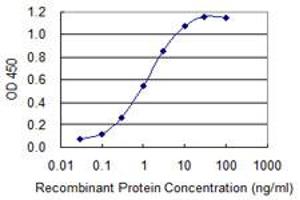 Detection limit for recombinant GST tagged ZAN is 0. (ZAN 抗体  (AA 19-113))