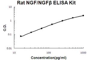 Rat NGF/NGF beta Accusignal ELISA Kit Rat NGF/NGF beta AccuSignal ELISA Kit standard curve. (NGFB ELISA 试剂盒)