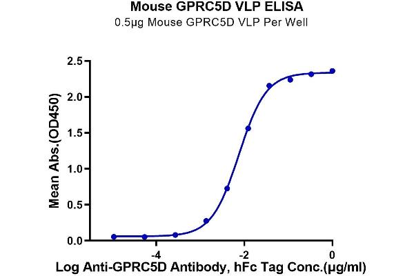 GPRC5D Protein-VLP (AA 1-344)
