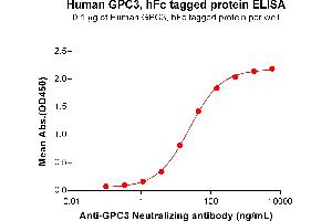 ELISA plate pre-coated by 1 μg/mL (100 μL/well) Human Protein, hFc Tag (ABIN7092674, ABIN7272488 and ABIN7272489) can bind Anti- Neutralizing antibody ABIN7477988 and ABIN7490914 in a linear range of 1. (Glypican 3 Protein (GPC3) (Fc Tag))