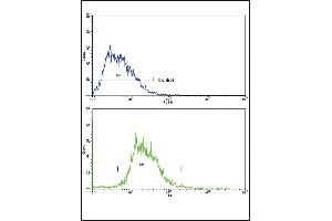 Flow cytometric analysis of HepG2 cells using SOX9 Antibody (Center)(bottom histogram) compared to a negative control cell (top histogram). (SOX9 抗体  (AA 231-260))