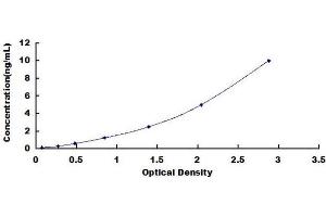 Typical standard curve (LRG1 ELISA 试剂盒)