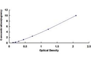 Typical standard curve (VRK1 ELISA 试剂盒)