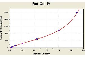 Diagramm of the ELISA kit to detect Rat Col ? (Collagen IV ELISA 试剂盒)