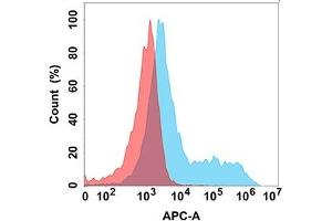 Flow cytometry analysis with Anti-CD114 (DM172) on Expi293 cells transfected with human CD114 (Blue histogram) or Expi293 transfected with irrelevant protein (Red histogram). (CSF3R 抗体  (AA 25-622))