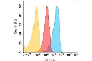 EPCAM protein is highly expressed on the surface of Expi293 cell membrane. (EpCAM (Oportuzumab Biosimilar) 抗体)