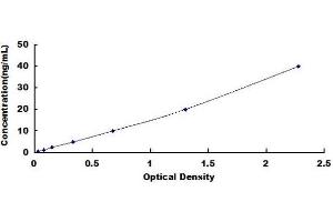 Typical standard curve (IgA Secretory Component ELISA 试剂盒)