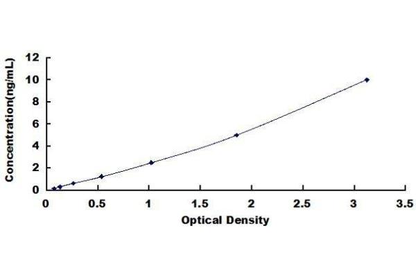 Asialoglycoprotein Receptor 2 ELISA 试剂盒