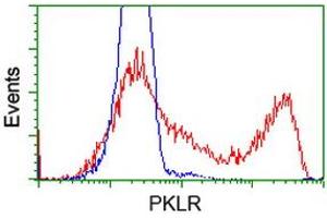 HEK293T cells transfected with either RC206455 overexpress plasmid (Red) or empty vector control plasmid (Blue) were immunostained by anti-PKLR antibody (ABIN2453474), and then analyzed by flow cytometry. (PKLR 抗体)