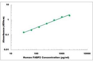 Representative Standard Curve (FABP2 ELISA 试剂盒)