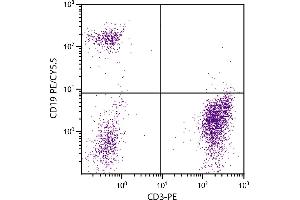 Human peripheral blood lymphocytes were stained with Mouse Anti-Human CD19-PE/CY5. (CD19 抗体  (PE-Cy5.5))