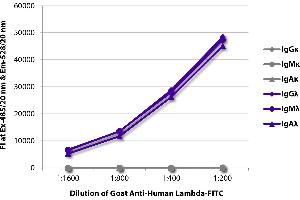 FLISA plate was coated with purified human IgGκ, IgMκ, IgAκ, IgGλ, IgMλ, and IgAλ. (山羊 anti-人 Ig (Chain lambda) Antibody (Texas Red (TR)))