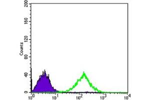 Flow cytometric analysis of Jurkat cells using CD69 mouse mAb (green) and negative control (purple). (CD69 抗体)