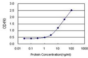 Sandwich ELISA detection sensitivity ranging from 1 ng/mL to 100 ng/mL. (AKR1C2 (人) Matched Antibody Pair)