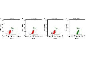 FACS analysis of MNPs A. (CCR8 蛋白)