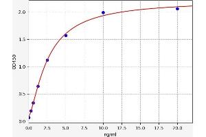 Typical standard curve (Fascin 2 ELISA 试剂盒)