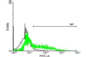 Flow Cytometry (FACS) image for anti-Stress-Induced-phosphoprotein 1 (STIP1) (AA 1-543) antibody (ABIN524365)