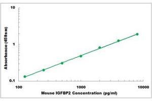 Representative Standard Curve (IGFBP2 ELISA 试剂盒)