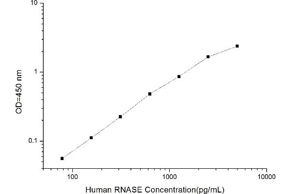 Ribonuclease ELISA 试剂盒