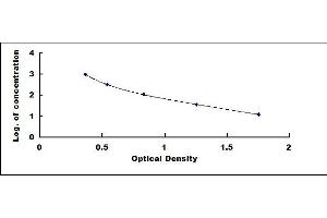 Typical standard curve (gamma-Endorphin ELISA 试剂盒)